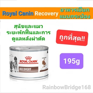 Royal Canin Recovery 195g อาหารเปียก กระป๋อง สำหรับสุนัขป่วย แมวป่วย ระยะพักฟื้น 195 กรัม