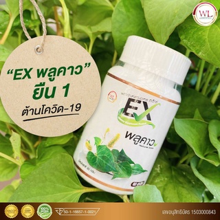 แท้มีของพร้อมส่ง!! (30เม็ด) พลูคาวEX ของแท้ บุ๋มปนัดดา สมุนไพรพลูคาวแคปซูล คาวตอง เบต้ากลูแคน ทานง่าย ไม่เหม็นคาว ส่งฟรี