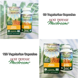 (Host Defense® Mushrooms™) Cordyceps Energy Support 60, 120 Vegetarian Capsules ลดระดับน้ำตาลในเลือด ถั่งเช่า