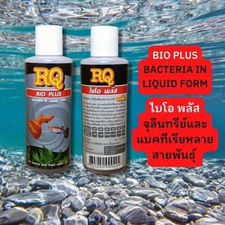 RQ BIO PLUS แบคทีเรียน้ำ สลายของเสียในน้ำ 120ml. สูตรเข้มข้น จุลินทรีย์ น้ำย่อยสลายของเสีย สิ่งสกปรกในตู้ปลา บ่อปลา