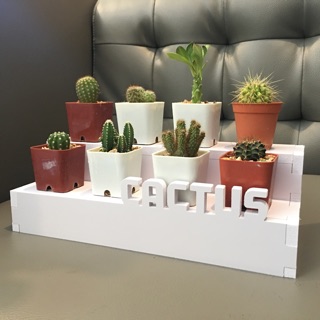 #ชั้นวางแบบขั้นบันได 2ชั้นหน้าทึบ  cactus ทนน้ำ ทนแดด ไม่ผุ ไว้ภายในภายนอกได้ครับ