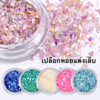 🔥พร้อมส่ง!!🔥เปลือกหอยละเอียด 6 สี เปลือกหอยติดเล็บ