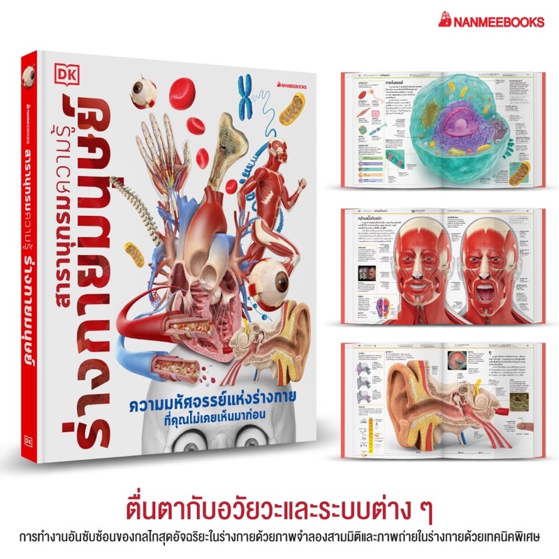 สารานุกรมความรู้ ร่างกายมนุษย์ - ราคาเต็ม 865 !! พิเศษ 499 ส่งฟรี | Anatomy Textbook