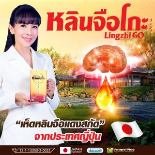 หลินจือโกะสาร​สกัด​ เห็ดหลินจือ