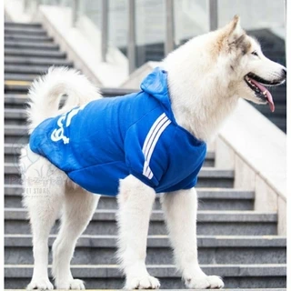🇹🇭พร้อมส่ง🇹🇭 ADIDOG 🐶 เสื้อสุนัขพันธุ์ใหญ่ มีหมวกฮู้ด บุซับผ้าขนสำลีเนื้อนุ่ม for หมาใหญ่