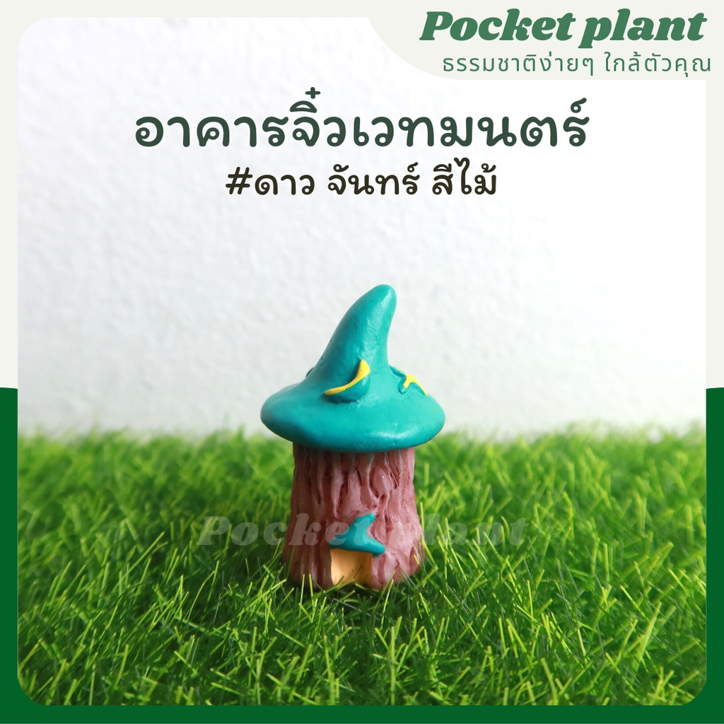 มุมมอง 5