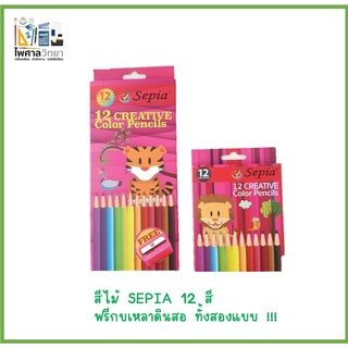 ✏️สีไม้ Sepia 12 สี Creative Color Pencils อย่างดี ถูกที่สุด!!