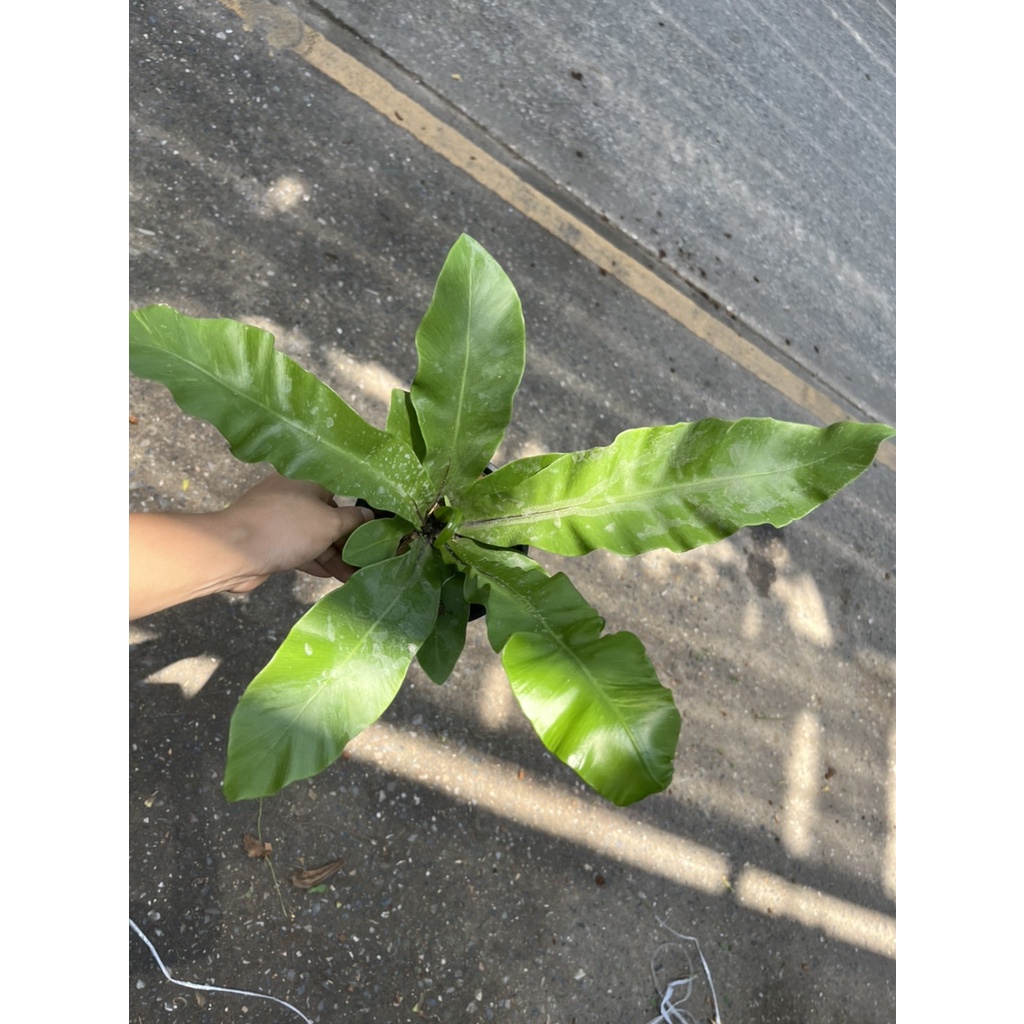 มุมมอง 2