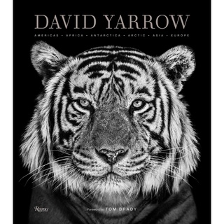 David Yarrow : Americas, Africa, Antarctica, Arctic, Asia, Europe [Hardcover]