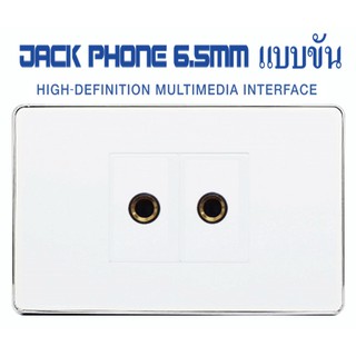 Wall Plate Jack Phone 6.5mm(ขัน)(2ช่อง)