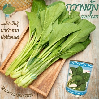 ผักกาดกวางตุ้ง กวางตุ้งใบ (Pak Choy)