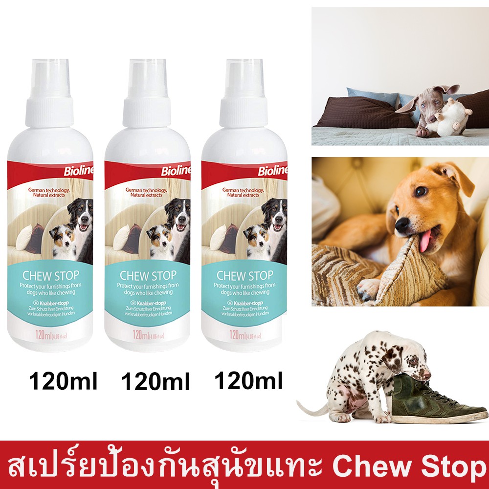 สเปร์ยป้องกันสุนัขกัดแทะ สเปร์ยกันฉี่ 120มล. (3ขวด) Bioline Stop Chew Dog Spray Natural Extracts Ant