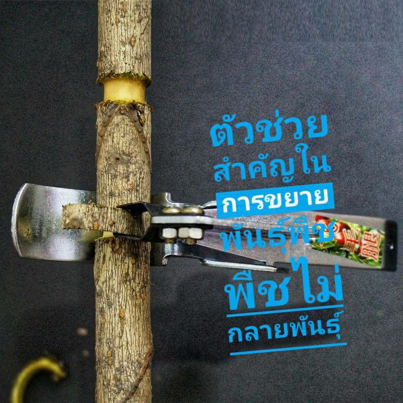 กรรไกรตอนกิ่ง ควั่นกิ่ง ตอนกิ่ง เครื่องตอนกิ่ง ขนาดกิ่งในการตอน 2-6 เซนติเมตร (ไม่เหมาะกิ่งขนาดเล็ก เปลือกอ่อน) ส่งด่วน