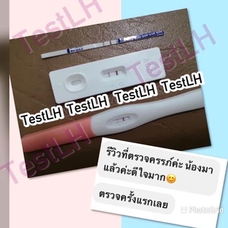 ที่ตรวจครรภ์ ตรวจครรภ์แบบปากกา​ ที่ตรวจครรภ์ราคาถูก