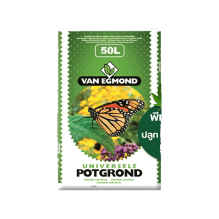 โปรโมชั่น Flash Sale : ดินปลูกสมุนไพรสายเขียว พีทมอส ปลูกพืชสมุนไพร สายเขียว ออร์แกนิค 50 ลิตร VEP-Mix (นำเข้าเนเธอแลนด์) VAN EGMOND