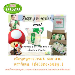 เห็ดหูหนูขาวเกรดA ดอกสวย เห็ดขาว 1ลัง[8ถุงx500g.] ราคาส่ง