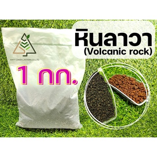 1 กก. หินลาวา (Volcanic rock)