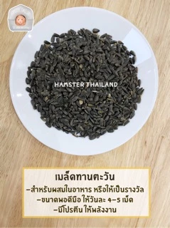 [Hamsterth] เมล็ด ทานตะวัน ขนมแฮมสเตอร์ สำหรับสัตว์เลี้ยง ขนมแฮมสเตอร์ อาหารผสม