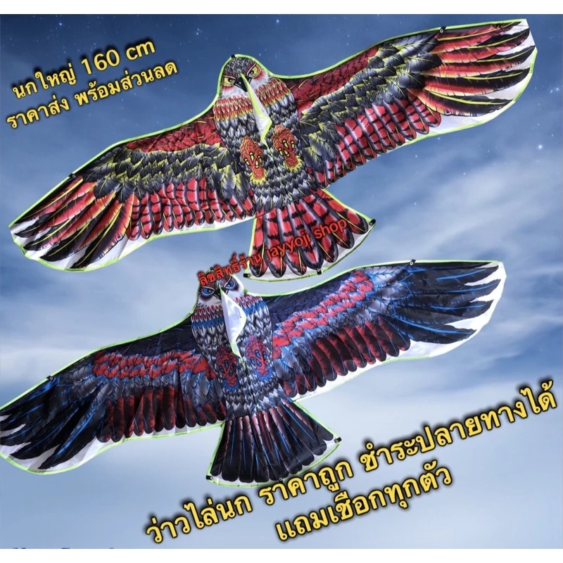ว่าว ไล่นก นกพิราบ แถมเชือกทุกตัว ราคาถูก ว่าวนกตัวใหญ่ ของเล่นเด็ก พร้อมจัดส่งจากไทย