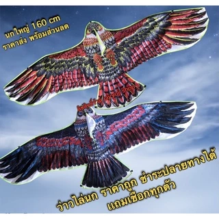 ว่าว ไล่นก นกพิราบ แถมเชือกทุกตัว ราคาถูก ว่าวนกตัวใหญ่ ของเล่นเด็ก พร้อมจัดส่งจากไทย