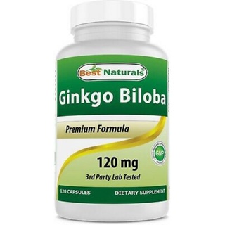 Best Naturals Ginkgo Biloba 120 mg 120 Capsules