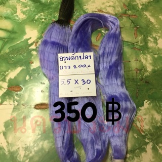 อวนดักปลาแบบไม่มีลูกถ่วง มองปลิว ขนาดตา 5.5 ซม.* 30 ตา * ยาว 200 ม.