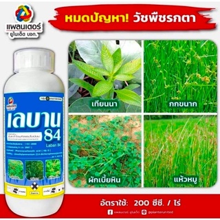 เลบาน84 ขนาด 1 ลิตร (2,4-ดี-ไดเมทิลแอมโมเนียม) หมดปัญหาหญ้าใบกว้างใน นาข้าว อ้อย ข้าวโพด