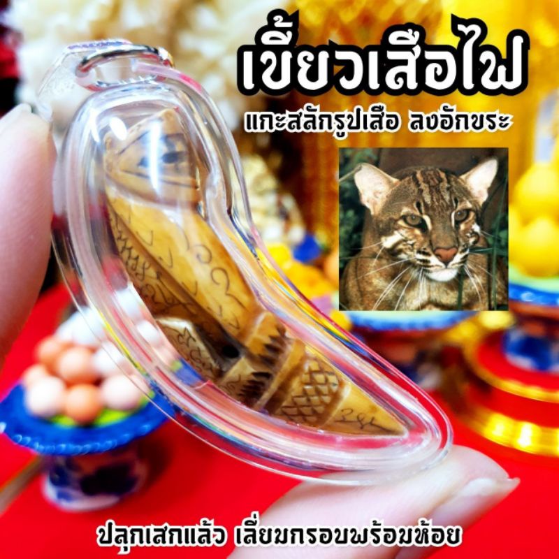 My Image 16
