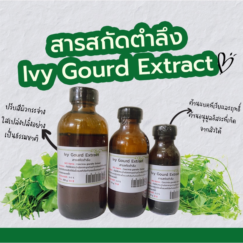 สารสกัดตำลึง I vy Gourd Extract สารสกัด เกรดเครื่องสำอางค์ สบู่ สบู่เหลว ชุดทำ ใช้สรรพคุณ ห้ามรับประทาน❌