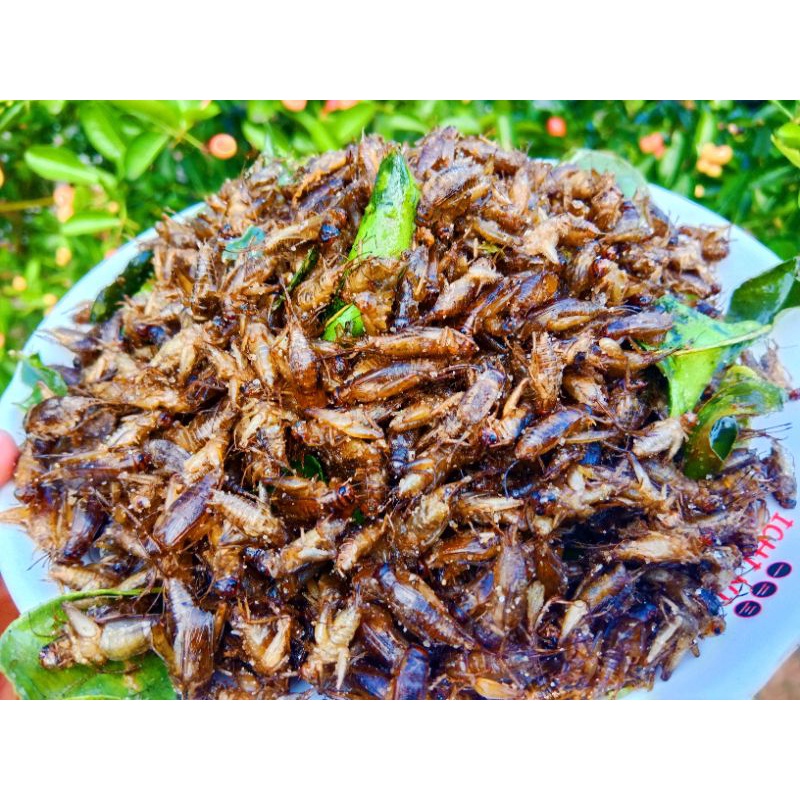 สะดิ้งไข่ทอดมันๆ แมลงทอด  สดใหม่ไม่เหม็นหืน ขนาด 100 กรัม 200 กรัม - รูปที่ 4