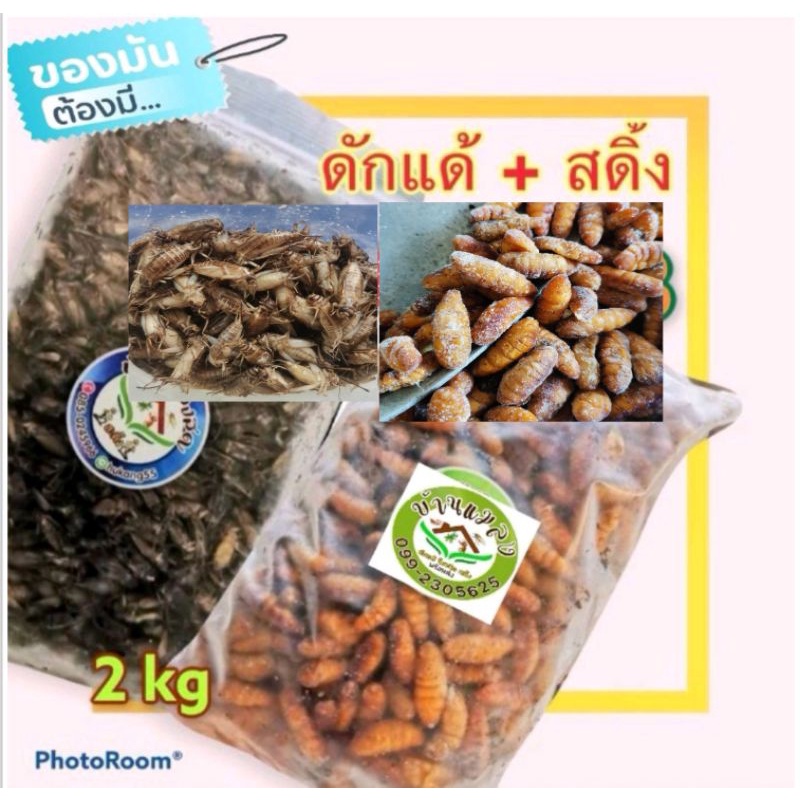 ดักแด้​+สดิ้งไข่​แพกรวมกัน2กิโลกรัม​
