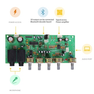 บอร์ดขยายเสียงไมโครโฟนดิจิตอล CAPA Dual AC 12V-15V PT2399