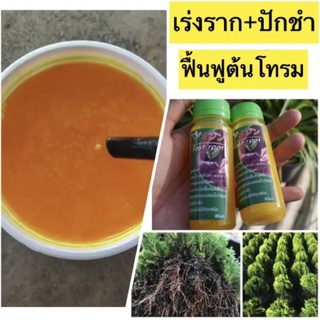 3in1 เร่งราก ฟื้นฟูต้นไม้งาม 80ml.ปลอดภัย เห็นผลชัดเจน