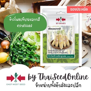 VP3 ซฟ เมล็ดพันธุ์ ข้าวโพดข้าวเหนียวเทียนหลากสี 20เมล็ด ตราศรแดง Waxy Corn