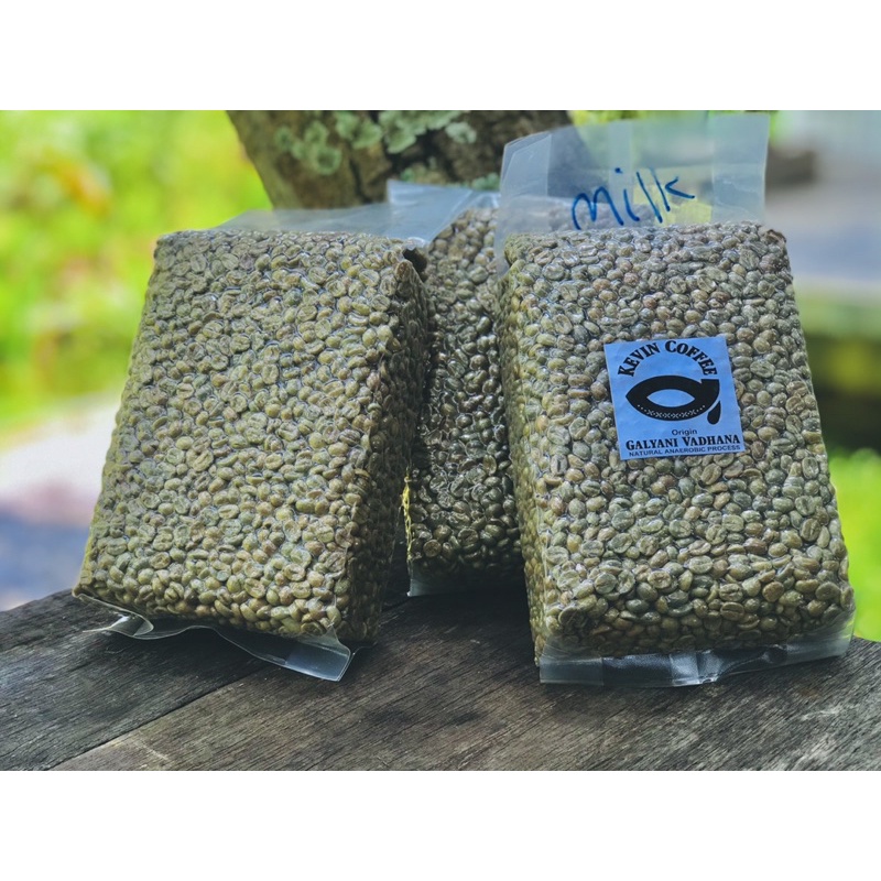 เมล็ดกาแฟ กาแฟ สารกาแฟ เมล็ดกาแฟกัลยาณิวัฒนา Dry Process (LTLH) Kevin Coffee