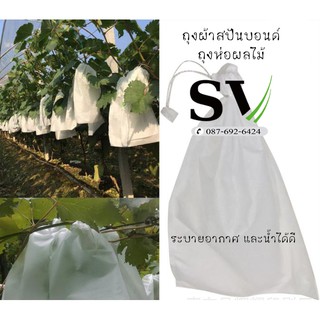 ถุงผ้าสปันบอนด์ มัดละ 100 ใบ หนา 30 แกรม สำหรับห่อผลไม้ ป้อง…