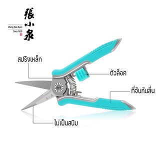 MasterZ กรรไกรตัดกิ่งไม้  ตกแต่งกิ่ง ต้นไม้ จัดสวน สวยงาม แข็งแรง ไม่เป็นสนิม  ZXQ PRUNING SKIP 165mm