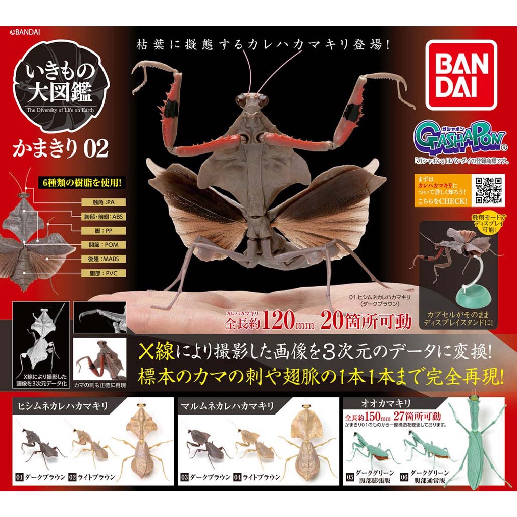 (เพิ่มน้ำตาลเข้มพร้อมส่ง) Gashapon กาชาปองตั๊กแตน Bandai Kamakiri Mantis Vol.02 โมเดลสัตว์