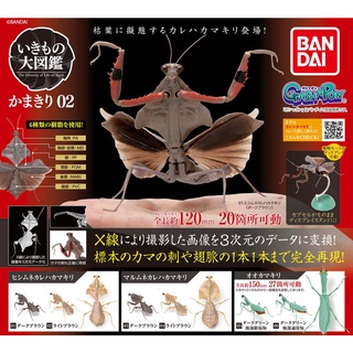 (ครบชุดพร้อมส่ง) Gashapon กาชาปองตั๊กแตน Bandai Kamakiri Mantis Vol.02 โมเดลสัตว์