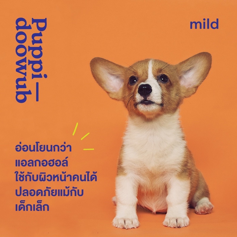 Puppidoowub สเปรย์เช็ดเท้าฆ่าเชื้อโรคสำหรับสุนัข (สูตรไม่มีแอลกอฮอล์) ขนาด 100ml. | Alcohol-free Paw Sanitizer - รูปที่ 2