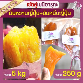 แพ็คคู่ถูกกว่า มันหวานญี่ปุ่น เบนิฮารุกะ 5kg + มันหนึบ 250g  มันหวานญี่ปุ่นนำเข้า มันหวานญี่ปุ่นเบนนิฮารุกะ มันหนึบ