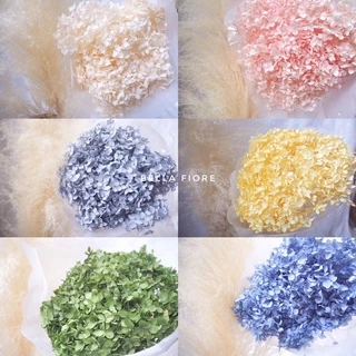 ดอกไม้แห้ง (พร้อมส่ง) ไฮเดรนเยีย preserved ดอกไม้แห้ง ดอกไม้จริงอบแห้งเก็บได้นานมากกว่า 2ปี