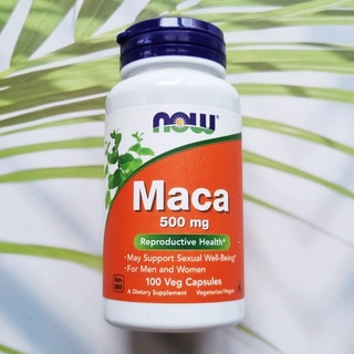 หัวมาคาสกัด  Maca 500mg 100 Veg Capsules (Now Foods) Superfood เพิ่มพลังทางเพศ