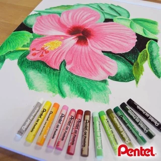 สีชอล์ค 12, 16, 25, 36, 50 สี ยี่ห้อ Pentel / 1 กล่อง