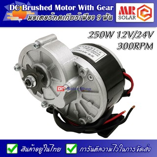 MY-1016Z มอเตอร์ทดเกียร์ 250W 300RPM 12V/24V (แปรงถ่าน) - DC Brushed Motor With Gear