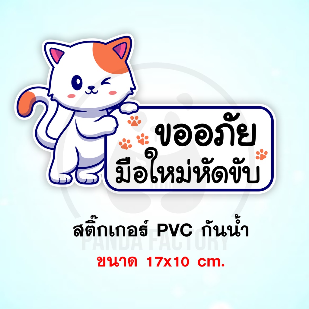 ขออภัยมือใหม่หัดขับ ลายแมวสีขาว  สติ๊กเกอร์กันน้ำ PVC อย่างดี ทนแดด ทนฝน ขออภัย ขออภัยมือใหม่ มือใหม่หัดขับ ขออภัยหัดขับ