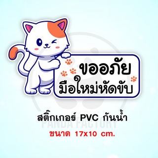 ขออภัยมือใหม่หัดขับ ลายแมวสีขาว  สติ๊กเกอร์กันน้ำ PVC อย่างดี ทนแดด ทนฝน ขออภัย ขออภัยมือใหม่ มือใหม่หัดขับ ขออภัยหัดขับ