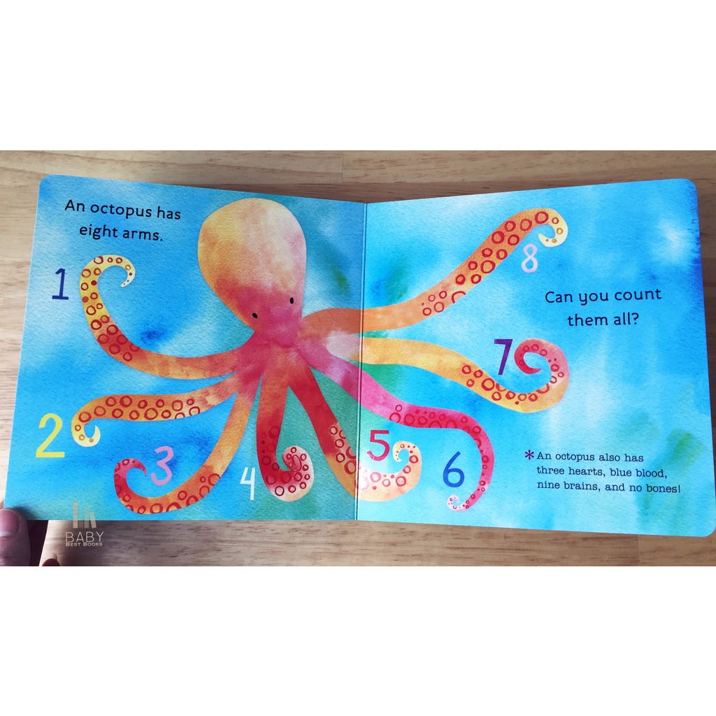 *พร้อมส่ง* ✅ Hello, World! Ocean Life หนังสือเด็กภาษาอังกฤษ หนังสือเสริมพัฒนาการ นิทานภาษาอังกฤษ ราคา ถูกที่สุด ดีลบีเคเค แกลเลอรีภาพที่ 4