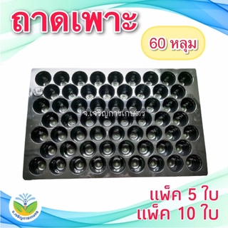 ถาดเพาะ *(แพ๊ค 5 และ 10 ใบ)* ถาดเพาะกล้า ถาดเพาะเมล็ด อย่างหนา