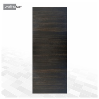 WELLINGTAN ประตูยูพีวีซี บานทึบ (เงา) UPVC-SD03 80x200ซม. TEAK